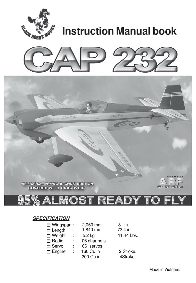 Black Horse Model CAP 232 Owner's manual