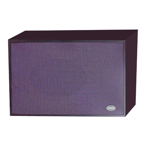DSPPA DSP406 User manual