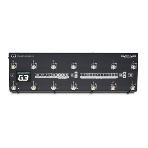The GigRig G3 user manual