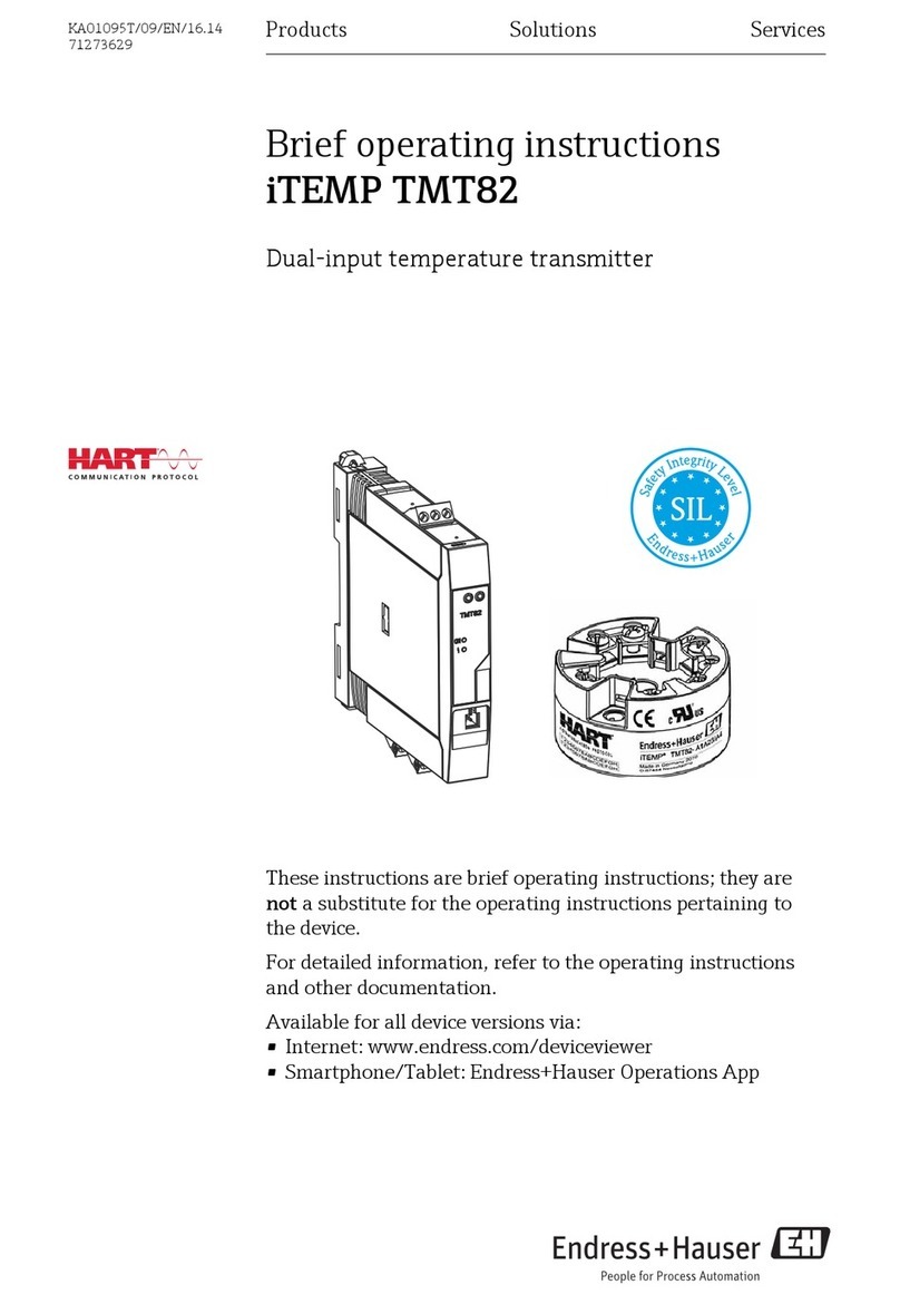Endress+Hauser iTEMP TMT82 Technical specifications