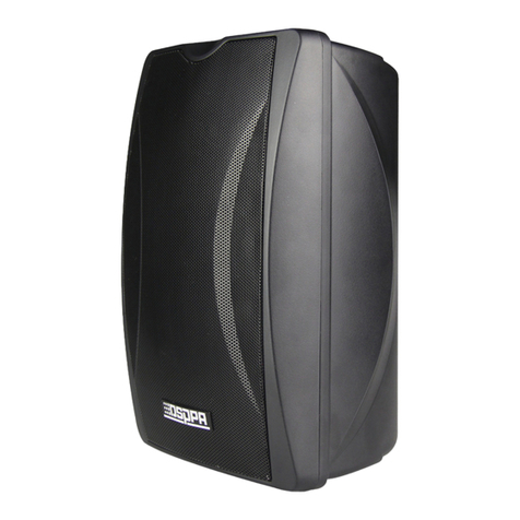DSPPA DSP8062 quick start guide