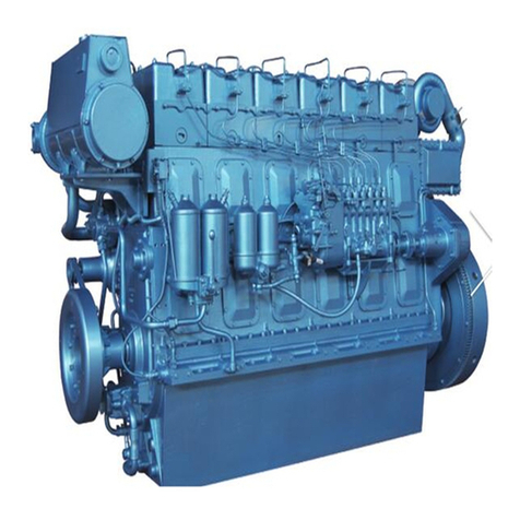 WEICHAI R6160 Series User manual