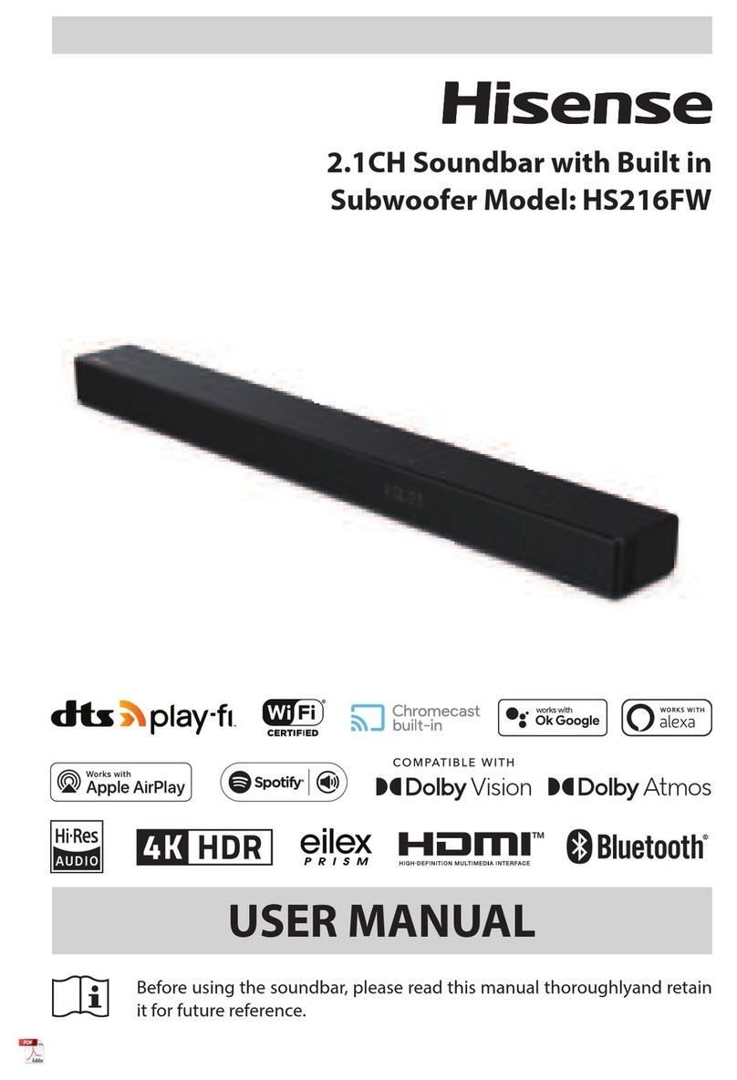 Hisense HS216FW user manual
