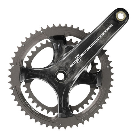 CAMPAGNOLO 11 Speed User manual