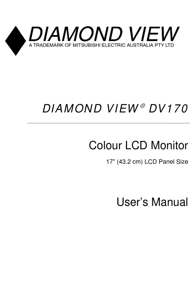 Diamond View DV170 user manual