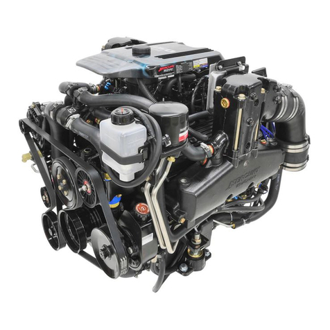 Mercury 350 MAG MPI manual