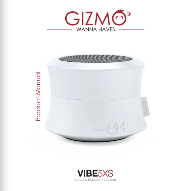 Gizmo Vibe 5XS product manual