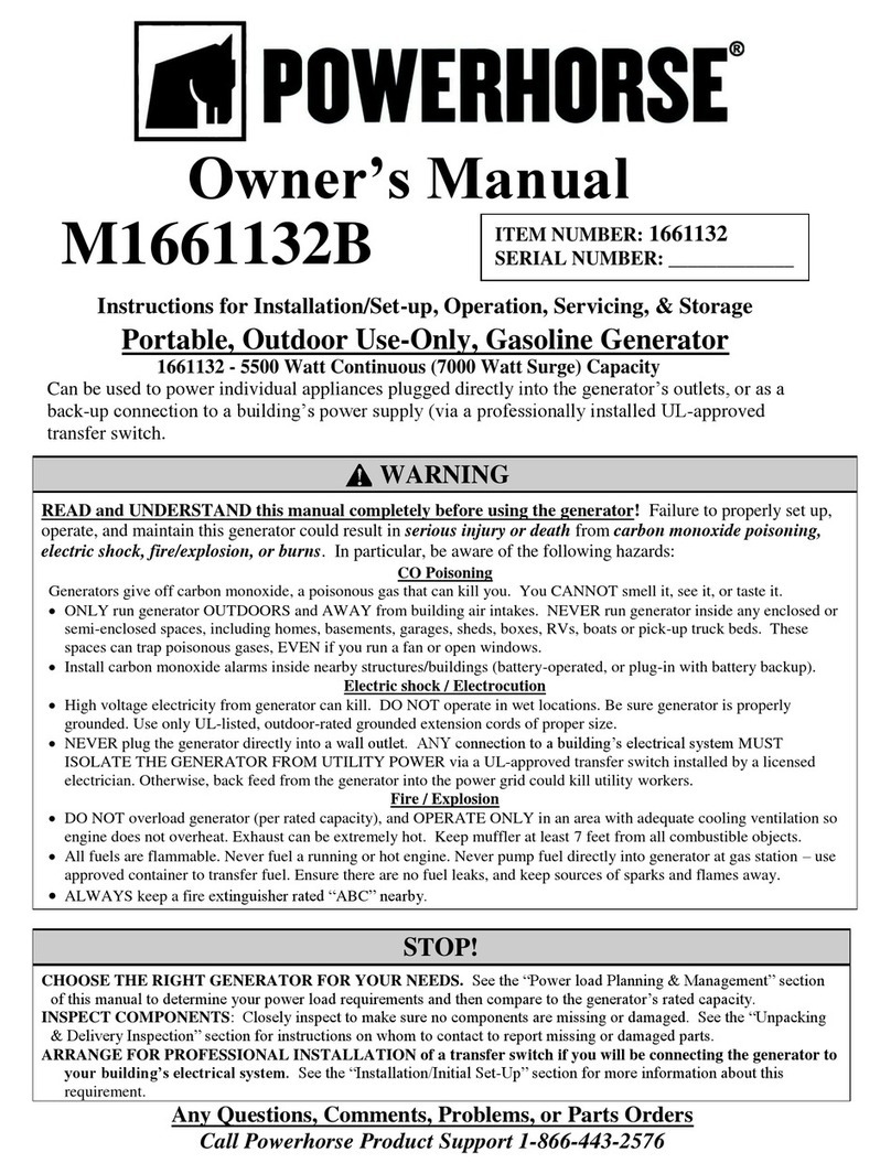 Powerhorse 1661132 User manual