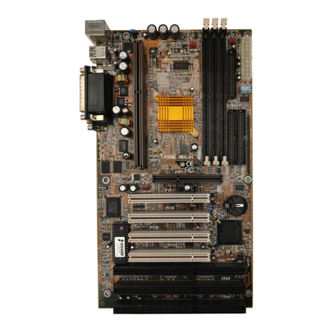 DFI P2XBL D+ User manual