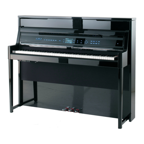 Physis Piano V100 user manual
