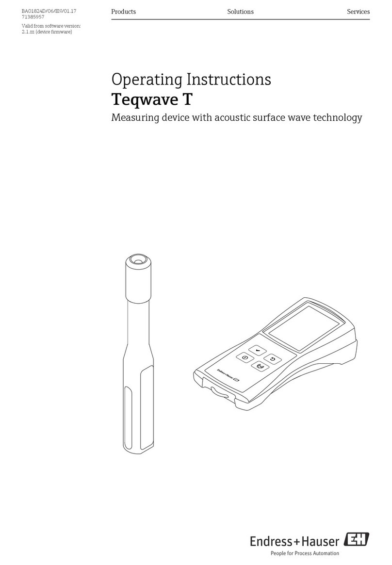 Endress+Hauser Teqwave T User manual