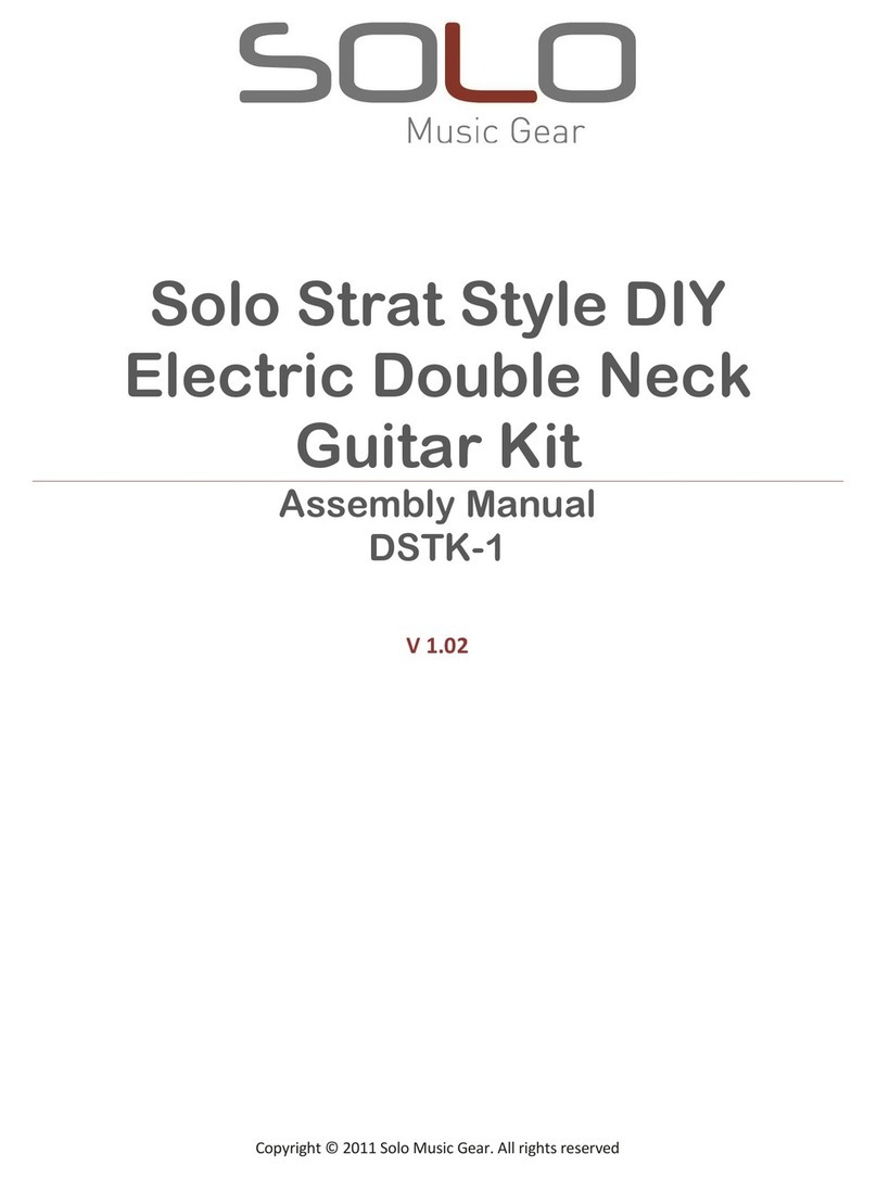 Solo Strat Style DIY User manual