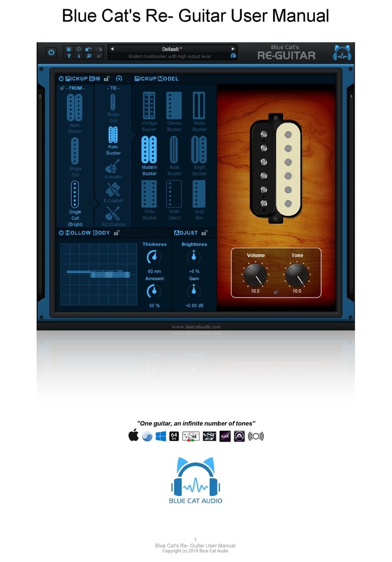 Blue Cat Audio Re-Guitar user manual