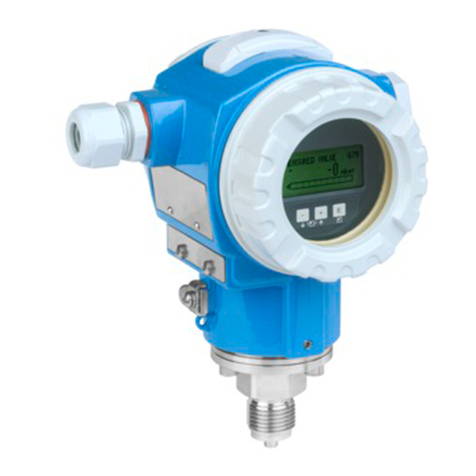 Endress+Hauser cerabar S User manual