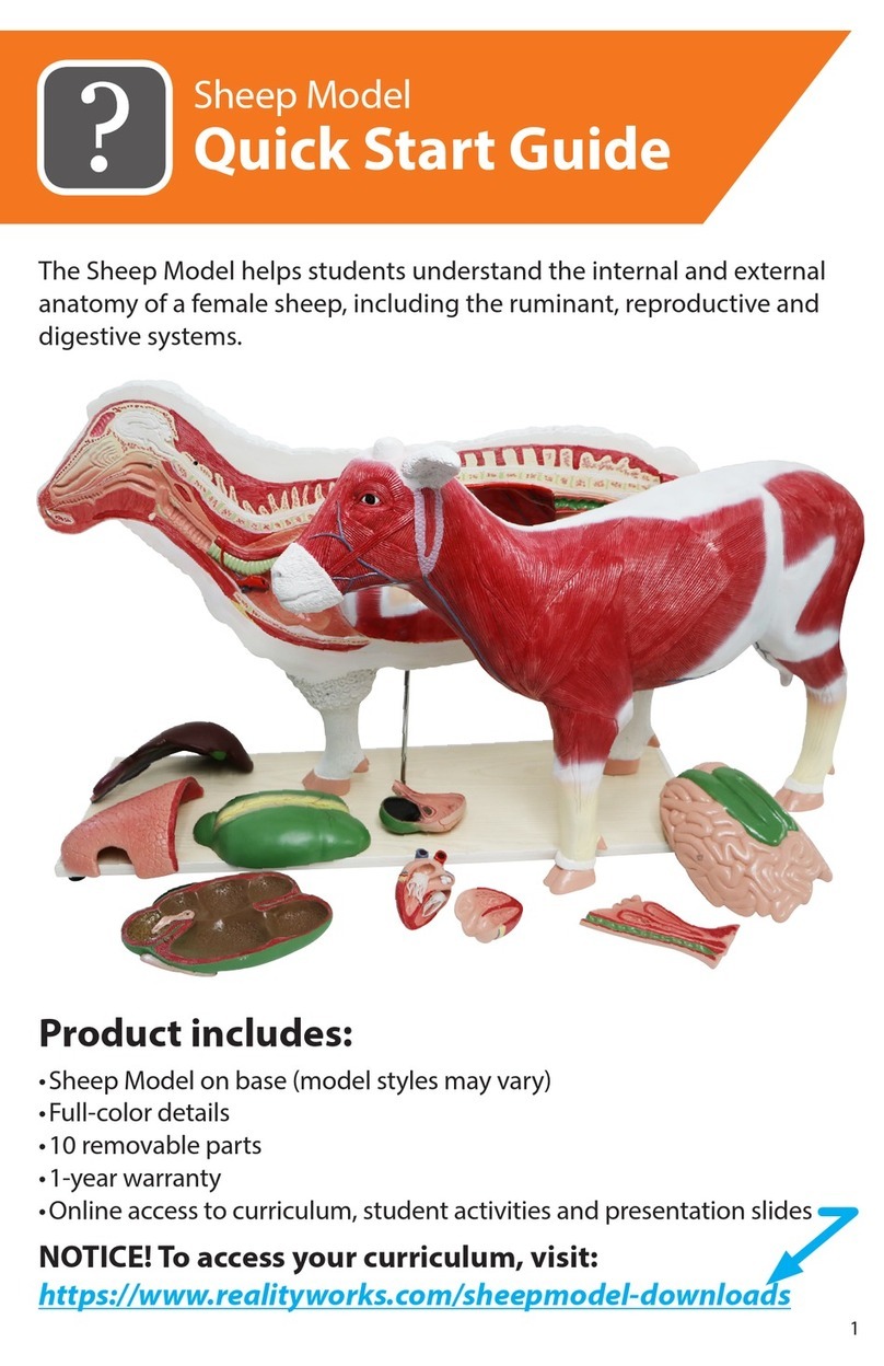 Reality Works Sheep Model User manual