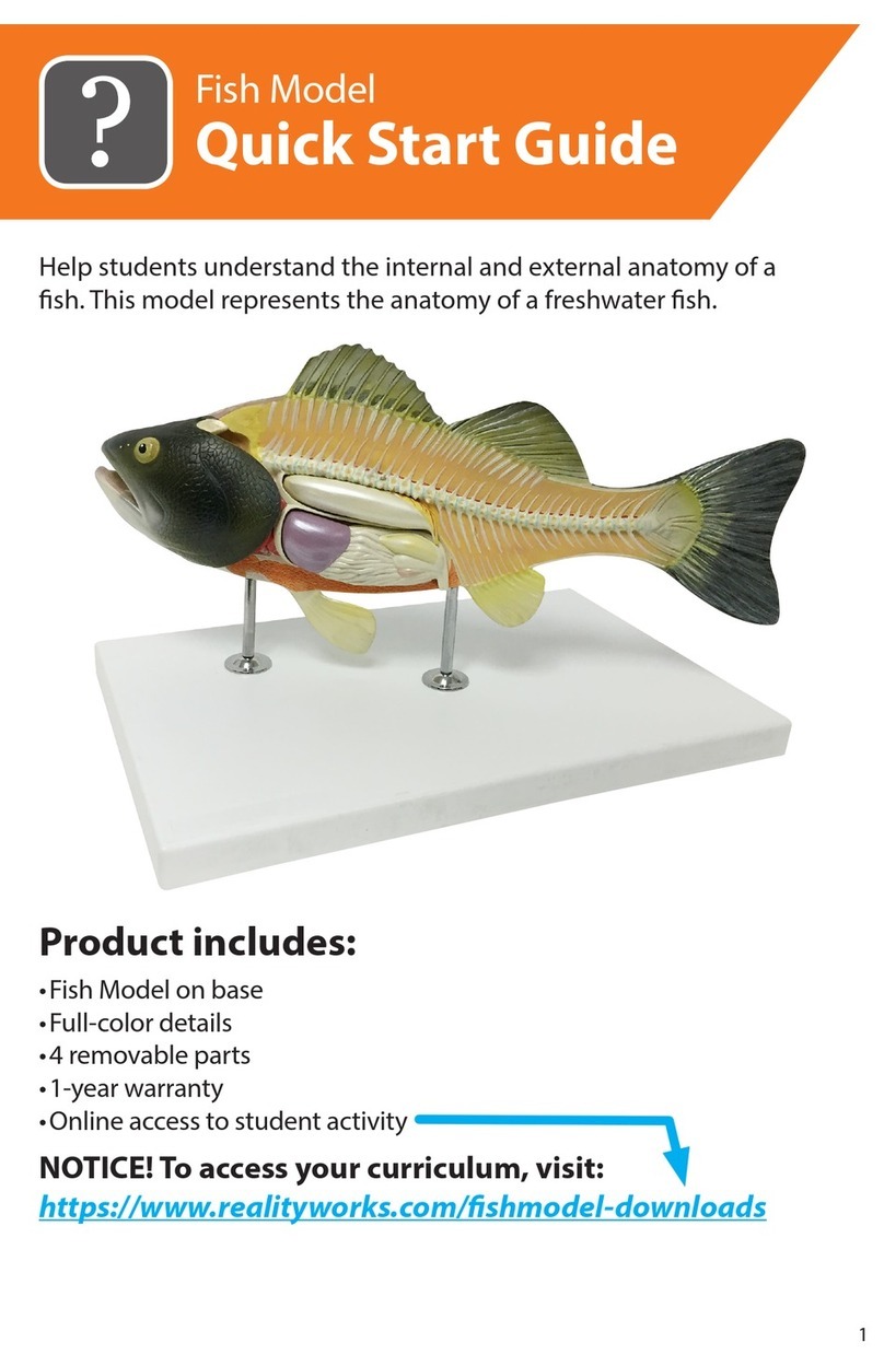 Reality Works Fish Model quick start guide
