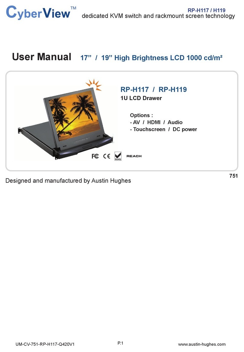 CyberView RP-H117 User manual