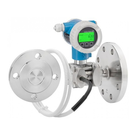 Endress+Hauser Deltabar PMD78B User manual