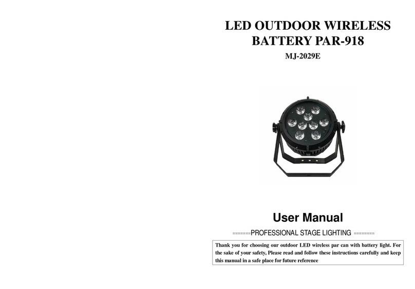MJ LED LIGHTNING MJ-2029E User manual
