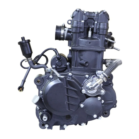 ZONGSHEN CBS300 Maintenance manual