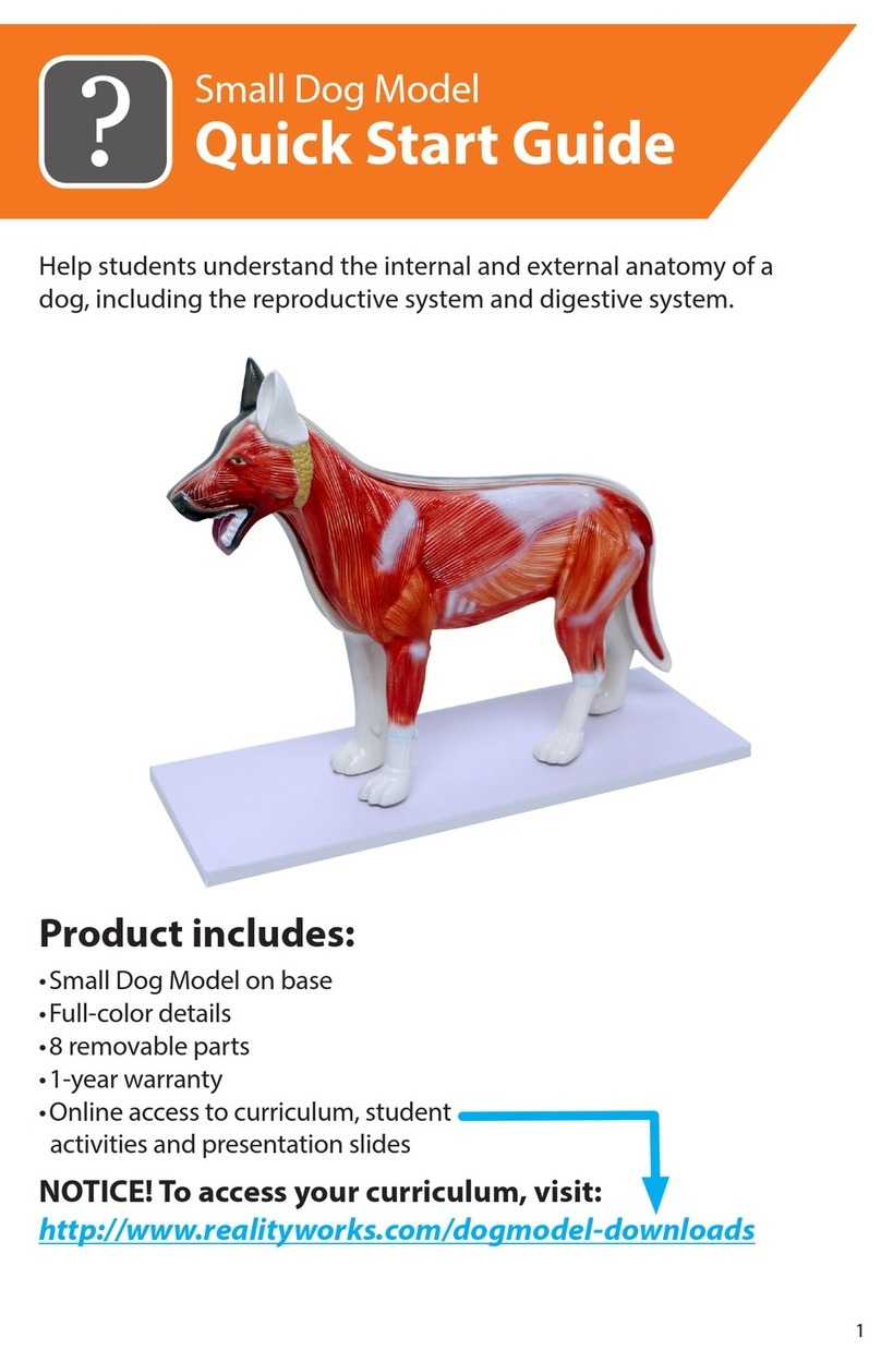 Reality Works Small Dog Model quick start guide