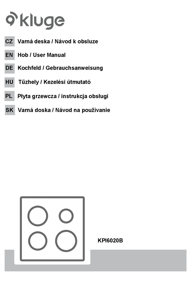 KLUGE KPI6020B user manual