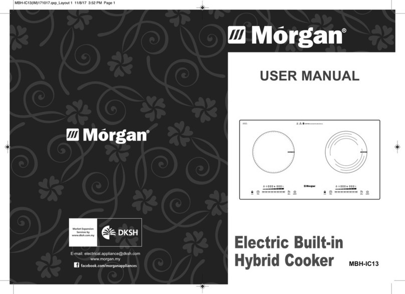 Morgan MBH-IC13 user manual