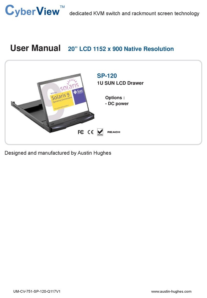 Austin Hughes Cyber View SP-120 User manual