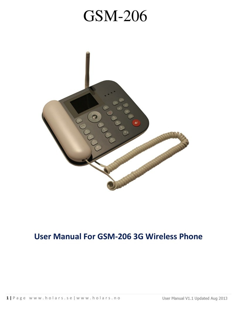 Holars GSM-206 user manual
