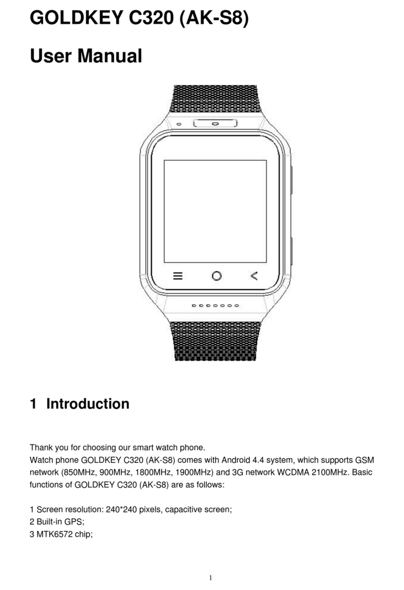 Flylink GOLDKEY C320 User manual