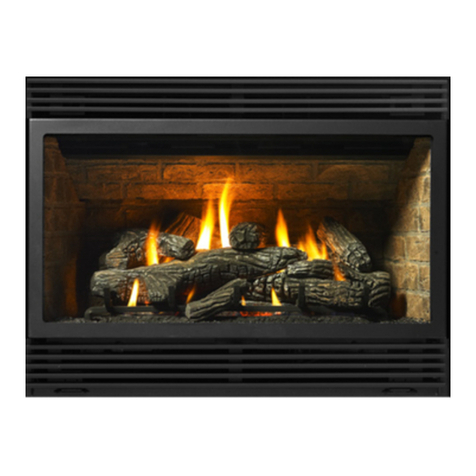 Regency FireGenie PG36D Owners & installation