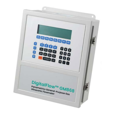Panametrics DigitalFlow GM868 User manual