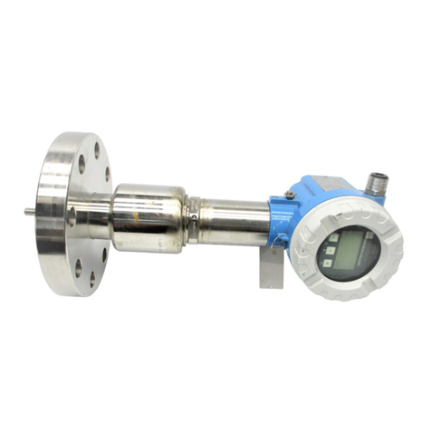 Endress+Hauser Levelflex M FMP45 User manual