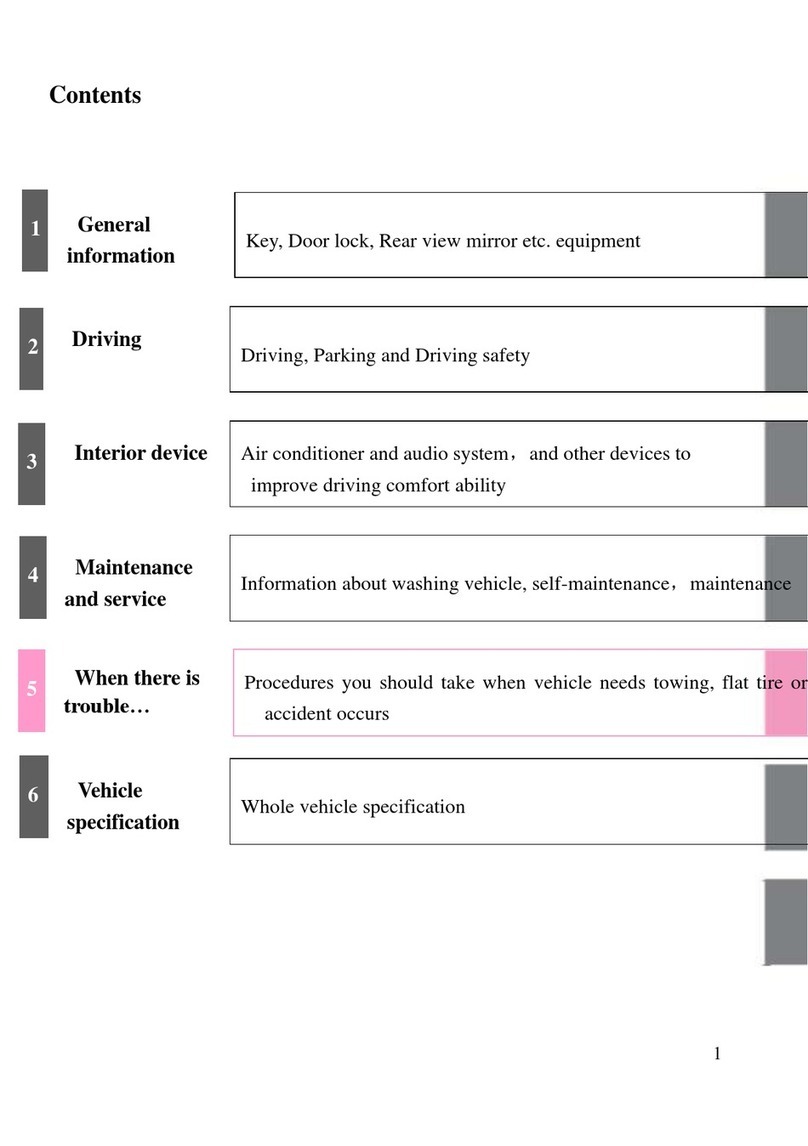 Atomic Ion XL Series user manual