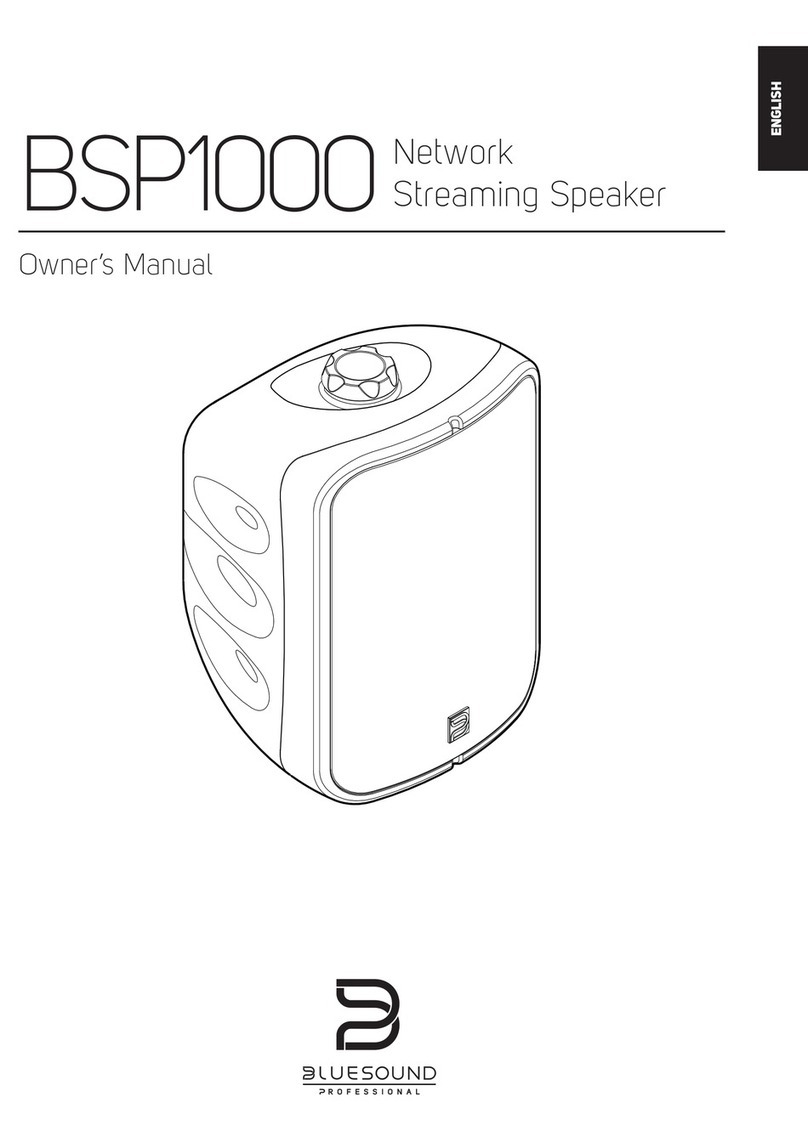 Bluesound Professional BSP1000 owner's manual