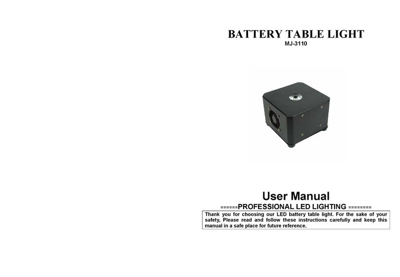 MJ LED LIGHTNING MJ-3110 User manual