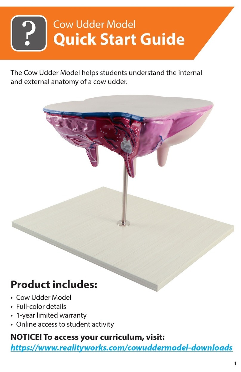 Reality Works Cow Udder Model quick start guide