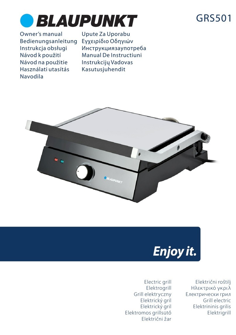 Blaupunkt GRS501 owner's manual