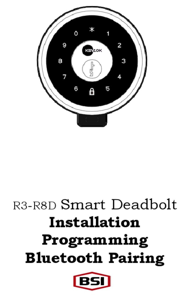 BSi R3-R8D Installation, Programming, Use