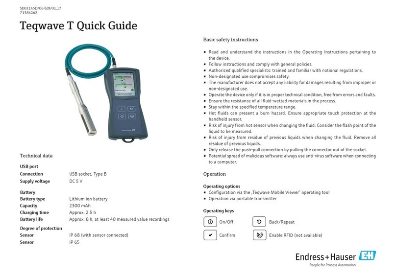 Endress+Hauser Teqwave T User manual