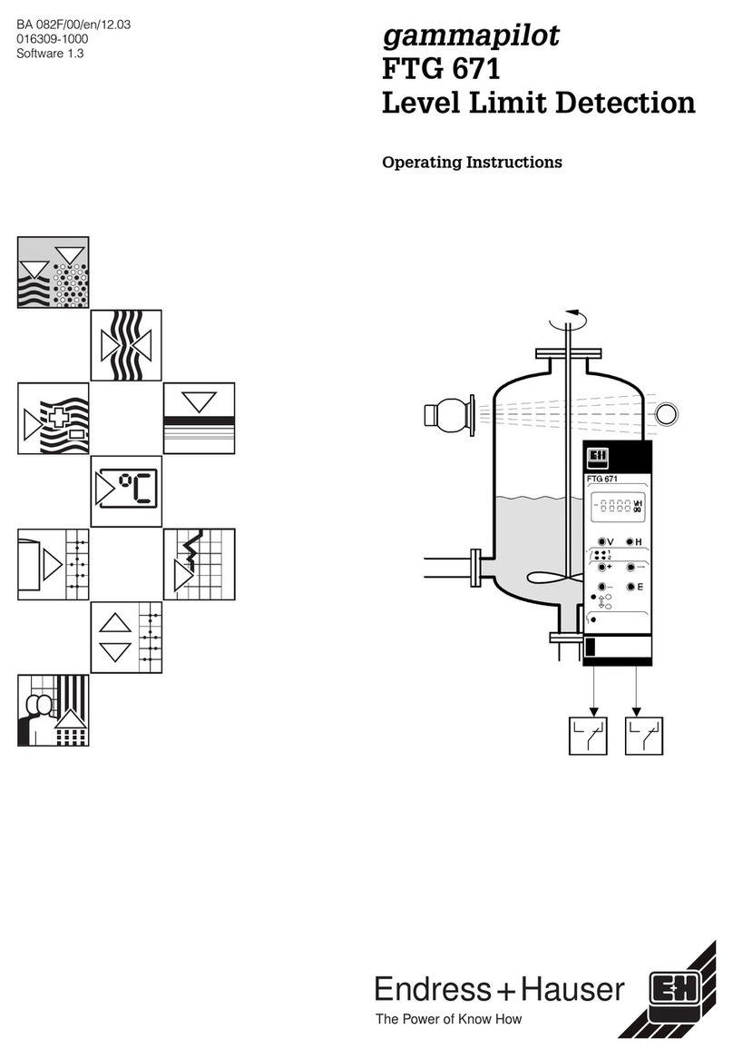 Endress+Hauser gammapilot FTG 671 operating instructions