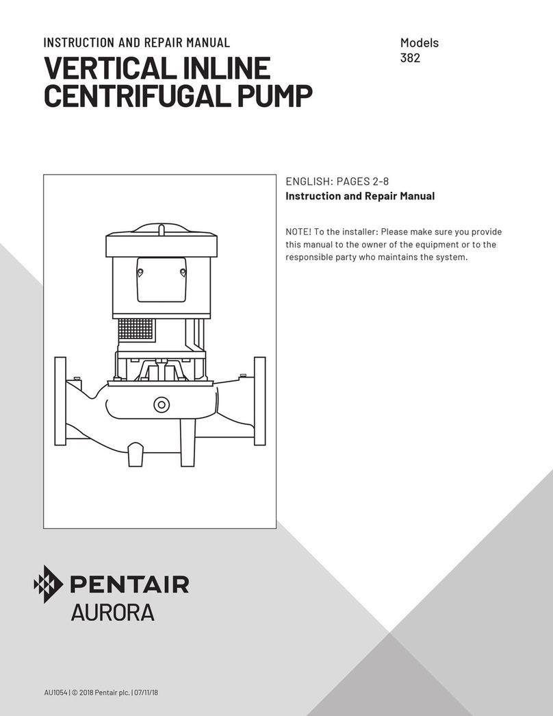 Pentair AURORA 382 Instruction and repair manual