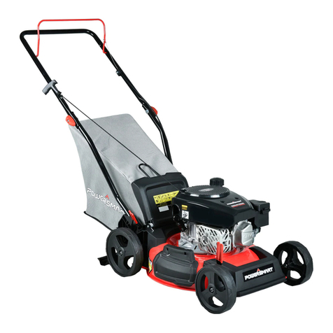 Powersmart DB8617P User manual