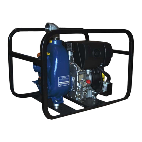 GORMAN-RUPP 12D-1B20 FT4 Application guide
