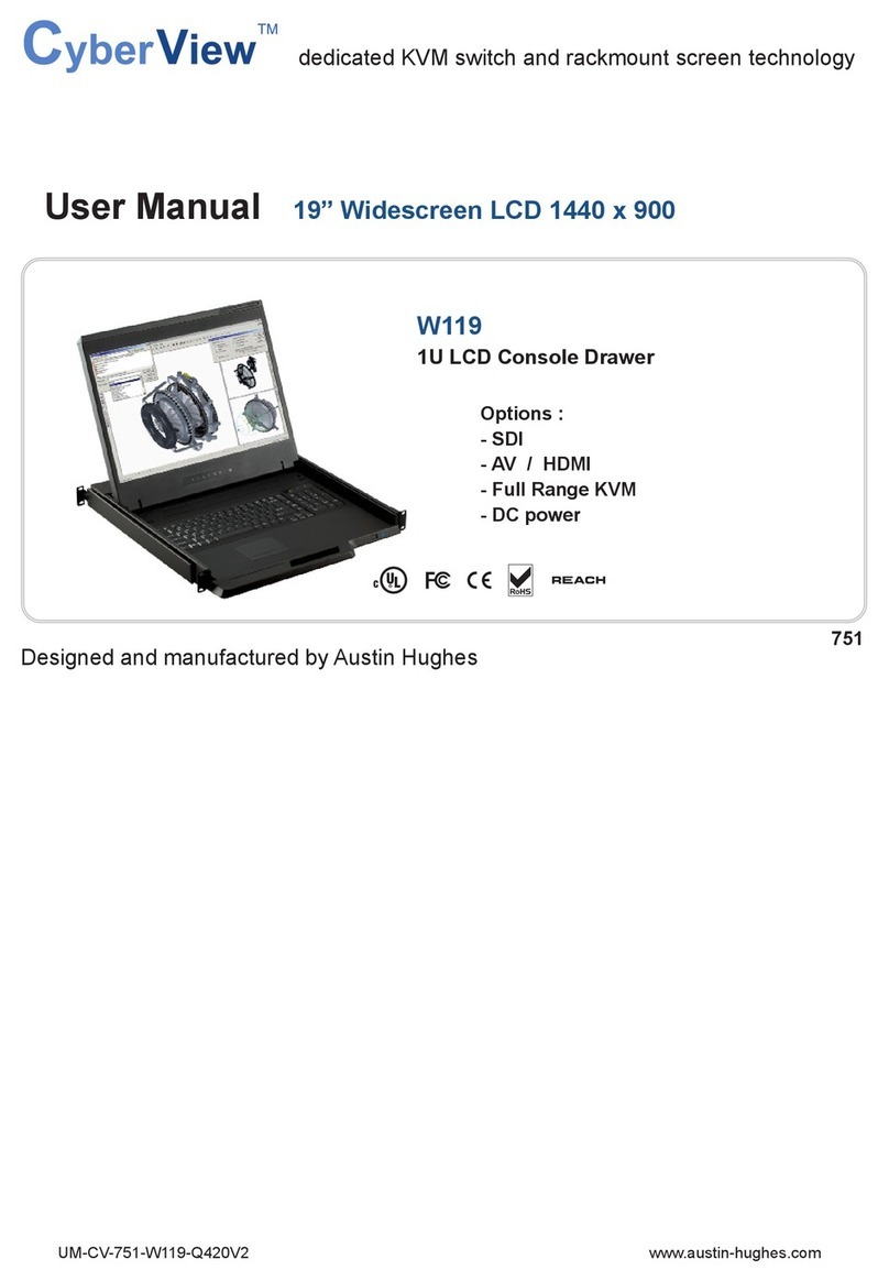Austin Hughes CyberView W119 User manual
