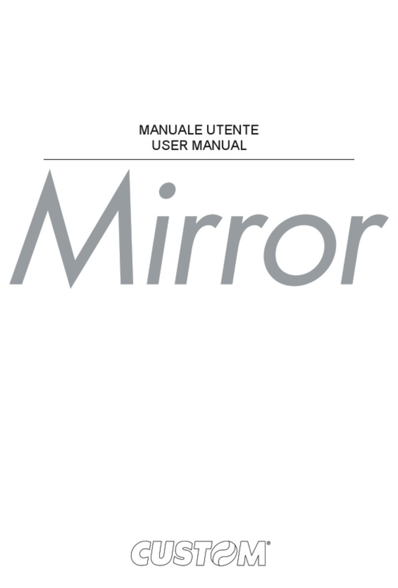 Custom Audio Electronics Mirror user manual