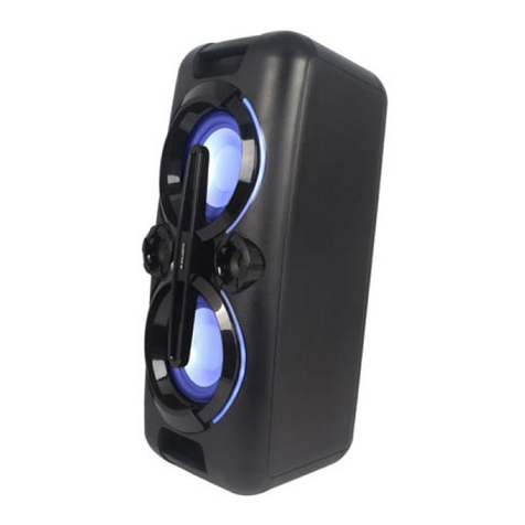 Majestic TS 80R BT/USB/AX user manual