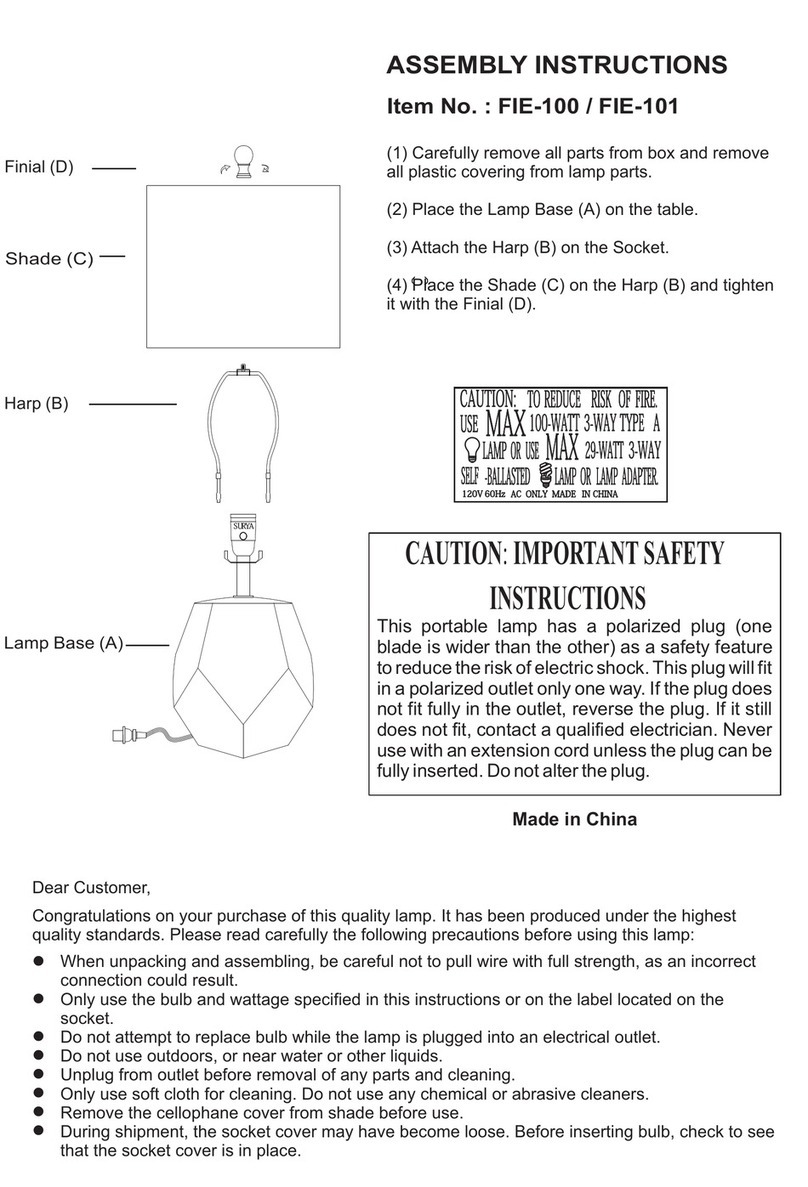 Living Spaces FIE-100 User manual