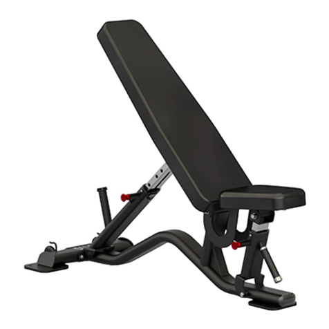 Sole Fitness SFI100 owner's manual