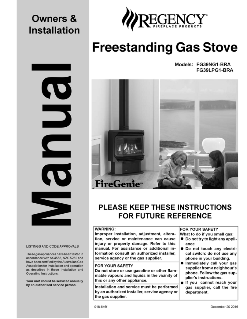 Regency FireGenie FG39NG1-BRA Owners & installation